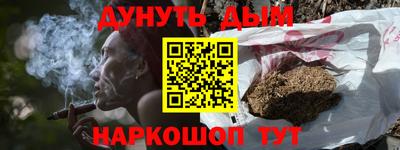 амф Новозыбков