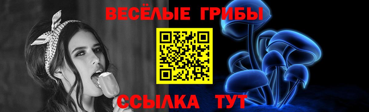 Псилоцибиновые грибы мицелий Кохма